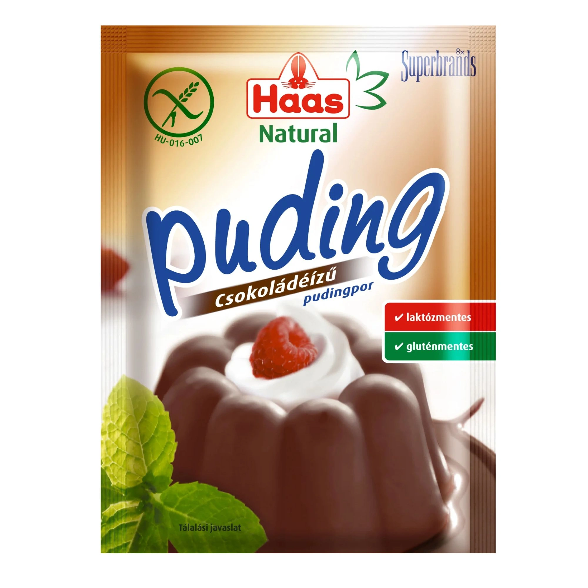Haas Chocolate Pudding Powder 40g / 1.41oz